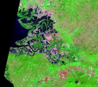 False-color satellite view of coastal wetlands patterned with rectangular shrimp ponds and winding mangrove channels, beside dark water and a solitary cone-shaped volcano on land.