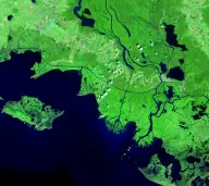 False-color satellite view of bright green wetlands cut by branching channels as a river reaches a broad dark-blue bay.