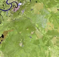Satellite view of green boreal terrain cut by a pale branching, tadpole-shaped depression, with a dark winding river near the upper edge.