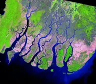 False-color satellite view of a wide fan-shaped delta where many parallel distributaries cross green and pink farmland before reaching the sea.