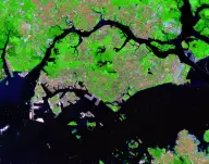 False-color satellite view of a dense island city beside a narrow strait, with bright green vegetation, gray development, docks, and many ships offshore.
