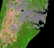 False-color satellite view of a vast coastal city wrapped around a branching natural harbor, with dense pink development and green reserves.