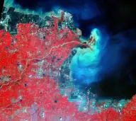 False-color satellite view of a river entering a dark sea through a pale turquoise sediment plume beside vivid red agricultural land.