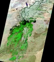 Satellite view of green seasonal wetlands spreading across a dry tan plain, with branching river channels forming far inland rather than along a coastline.