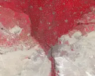 False-color satellite mosaic of an immense red triangular agricultural plain surrounded by pale desert, with a narrow river extending south.